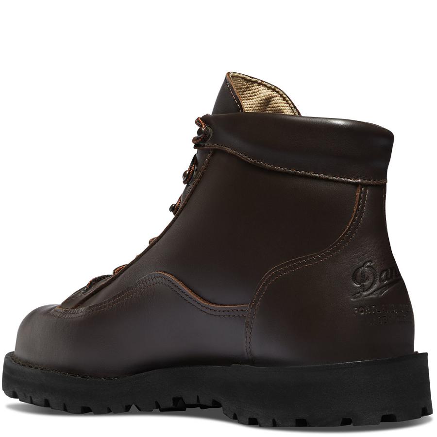 Botas Montaña Danner Explorer All-Cuero Hombre Marrom | MX1221WY