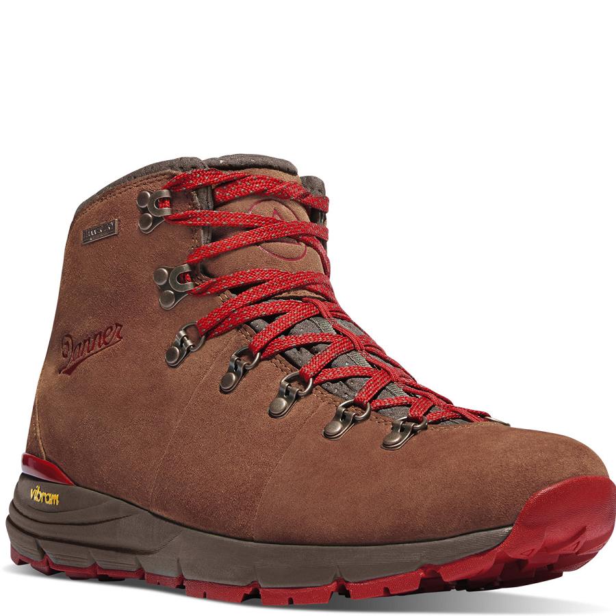 Botas Montaña Danner Mountain 600 4.5