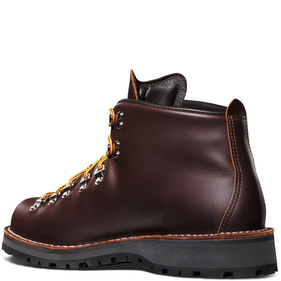 Botas Montaña Danner Mountain Light - GORE-TEX Hombre Chocolate | MX1250TV