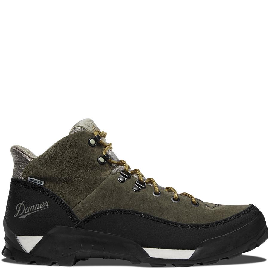 Botas Montaña Danner Panorama 6\