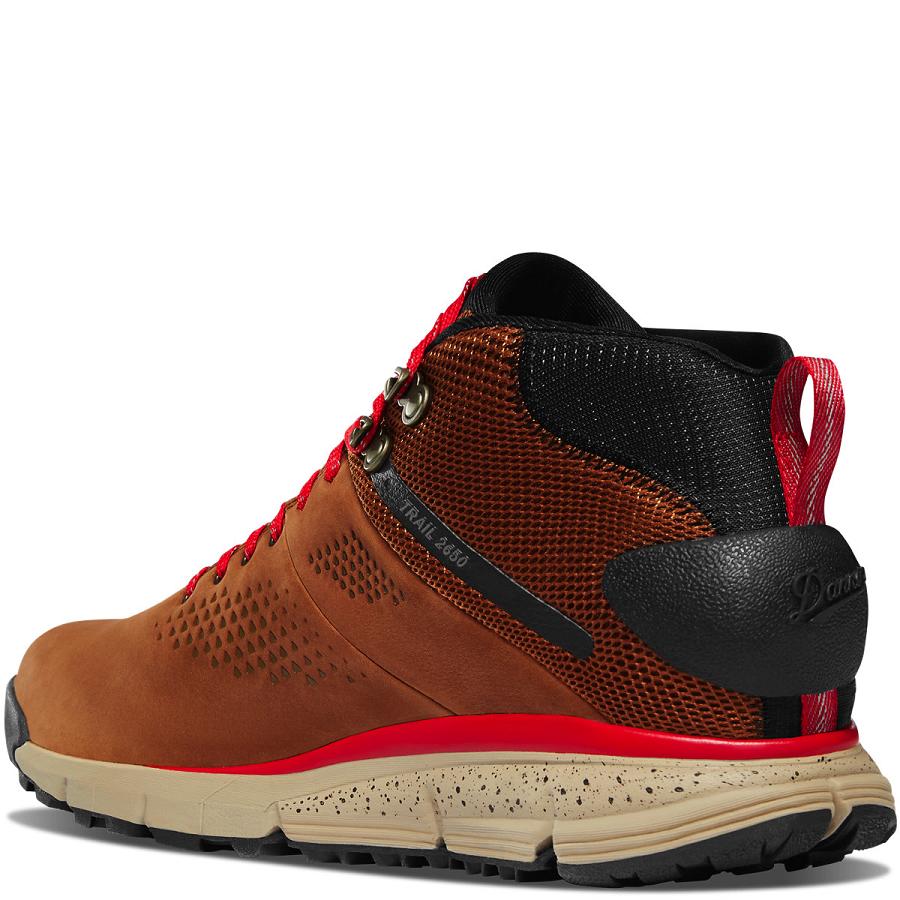 Botas Montaña Danner Trail 2650 Mid GTX Hombre Marrom Rojos | MX1263KI