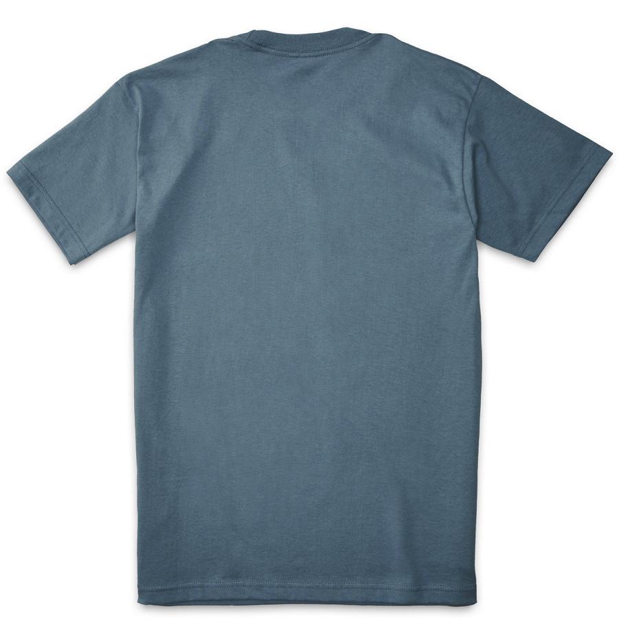 Ropa Danner T-Shirt Classic Senderismo Hombre Azules | MX1038QZ