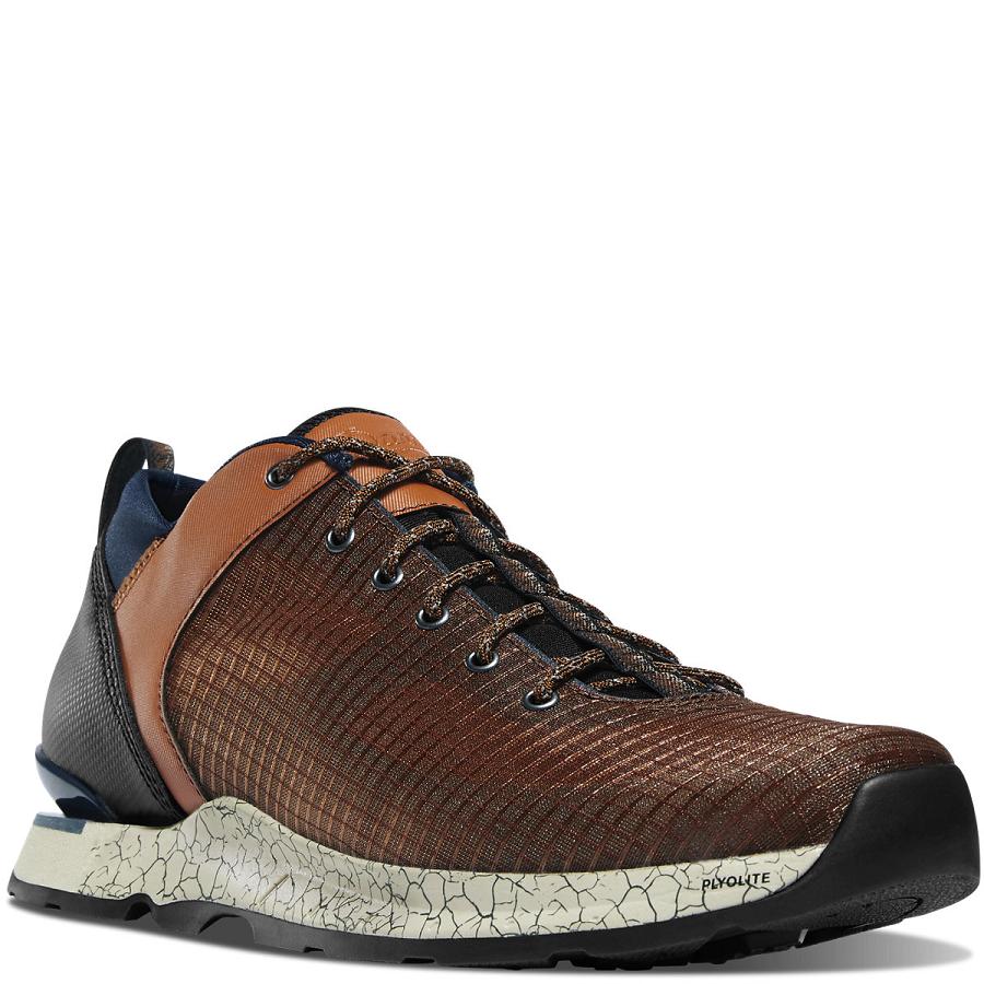 Tenis Senderismo Danner Desert Overlook Hombre Marrom | MX1270NB