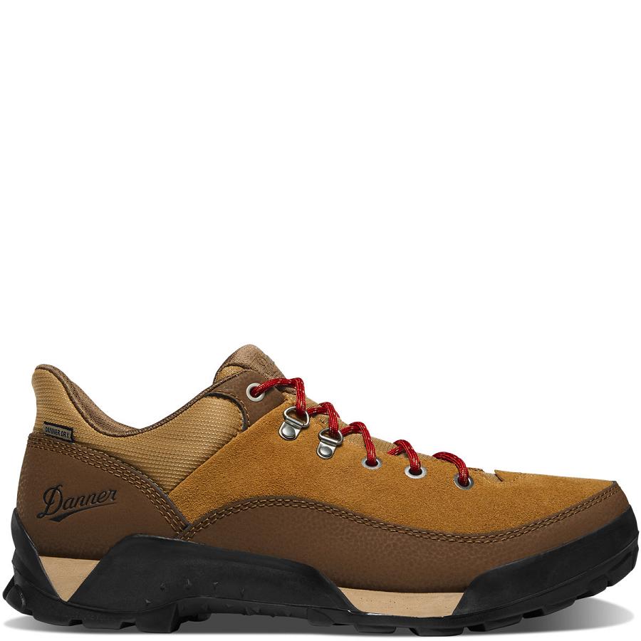 Tenis Senderismo Danner Panorama Low 4\