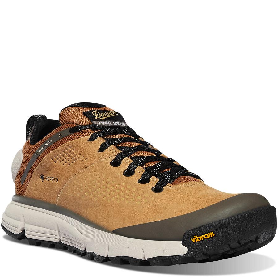 Tenis Senderismo Danner Trail 2650 GTX Mujer Marrom Grises | MX1662QZ