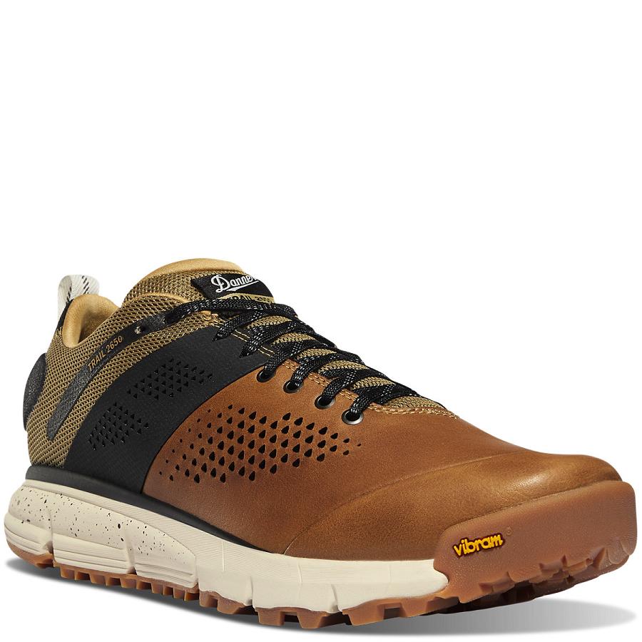 Tenis Senderismo Danner Trail 2650 Hombre Marrom | MX1294VD