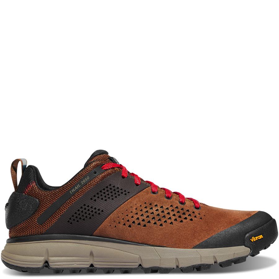 Zapatos Danner Trail 2650 Hombre Marrom Rojos | MX1362DN